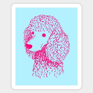 Poodle (Light Blue and Hot Pink) Sticker